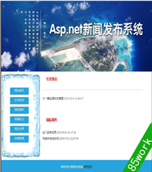 asp.net+access新闻发布系统动态网站作业
