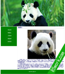 大熊猫html静态网页设计作业成品模板