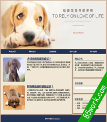 php mysql宠物动态网页设计作业成品