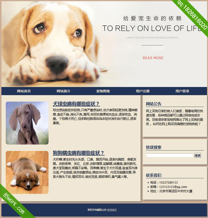 php mysql宠物动态网页作业