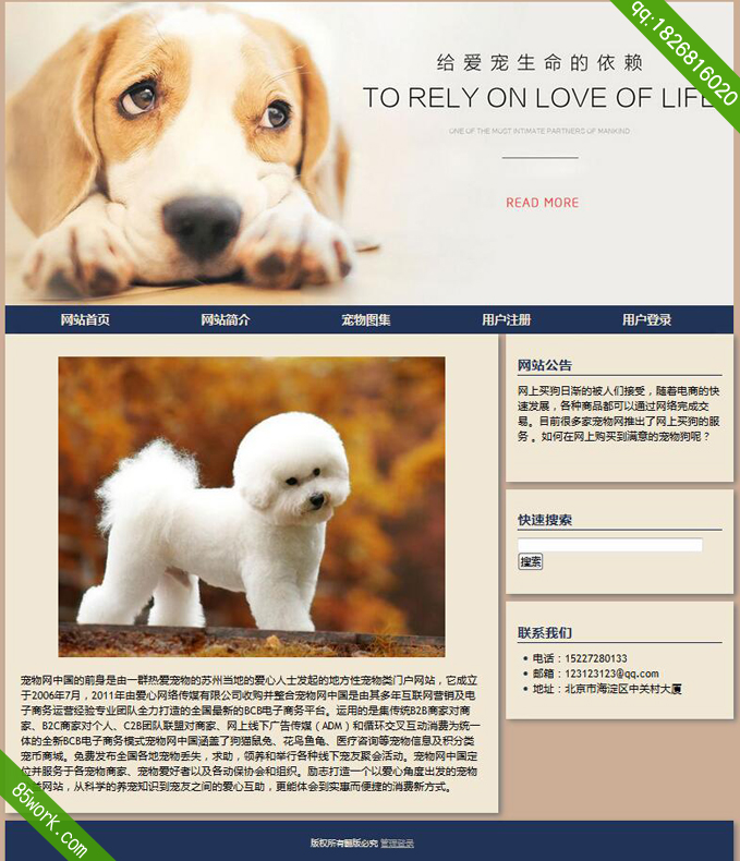php mysql宠物动态网页设计作业