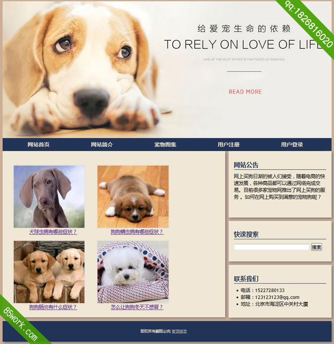 php mysql宠物动态网页制作作业