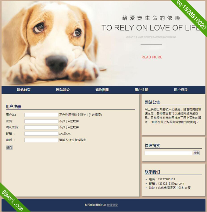 php宠物动态网页设计作业作品