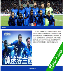 足球队法国队dreamweaver网页设计作业成品