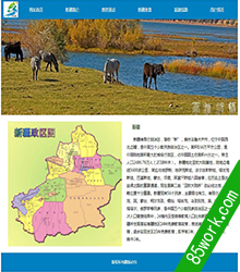 新疆旅游网页设计作业成品